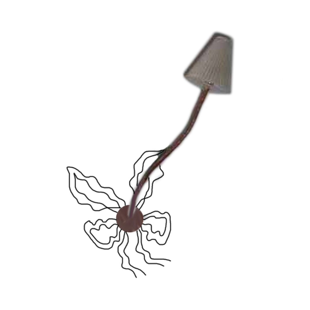 Lampara