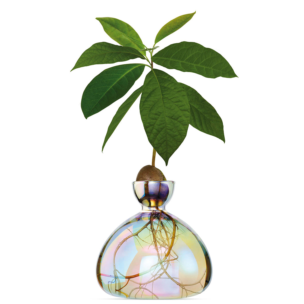 Florero