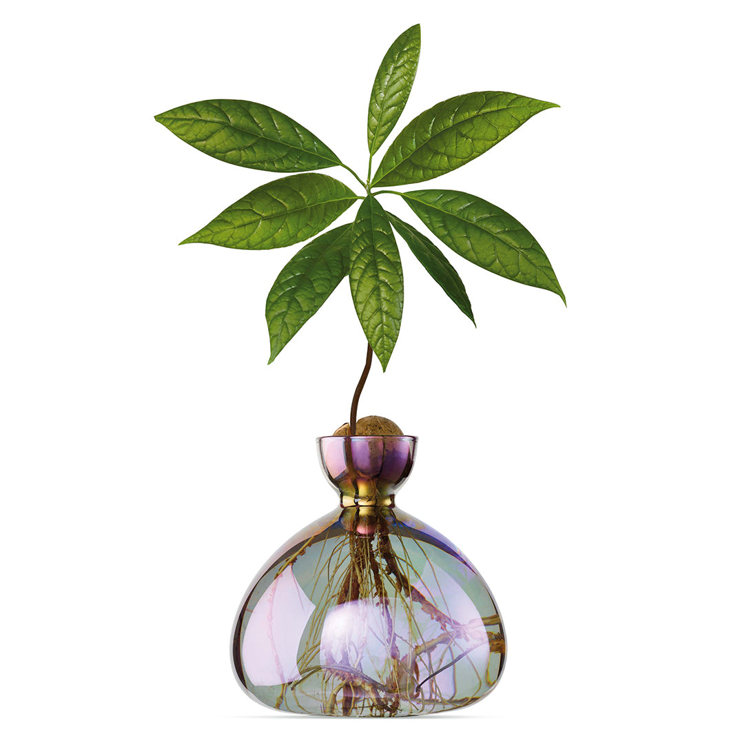 Florero