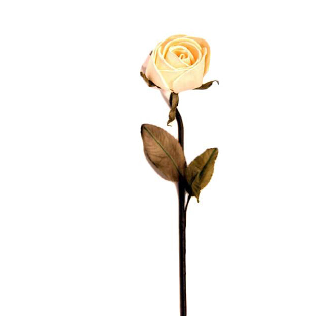 Flor
