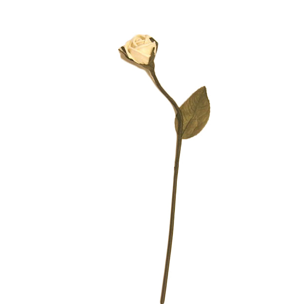 Flor