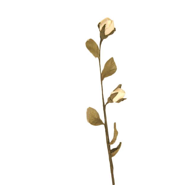 Flor
