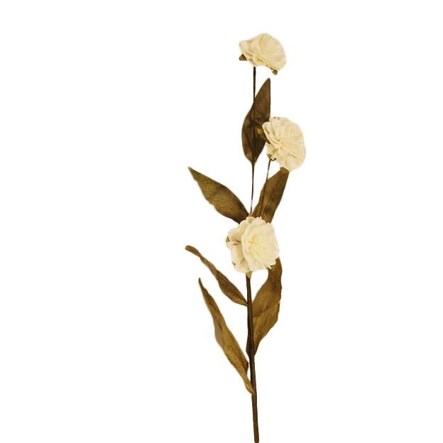 Flor