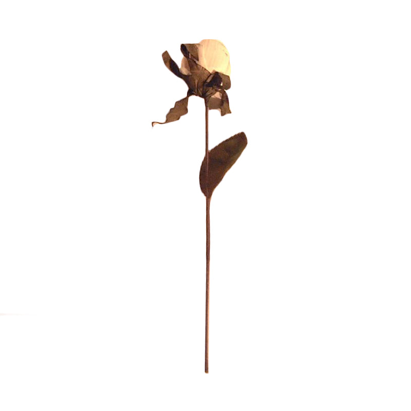 Flor