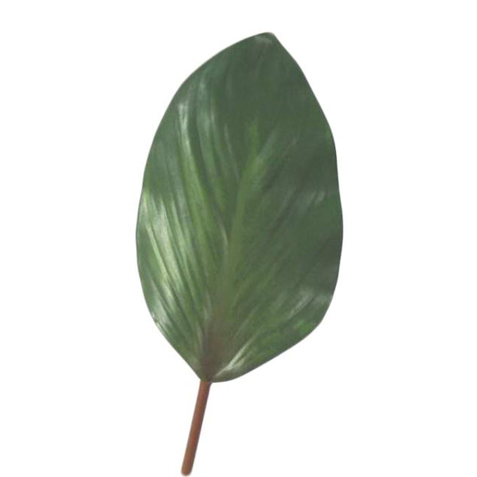 Hoja
