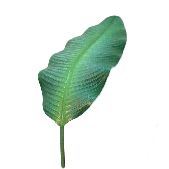 Hoja