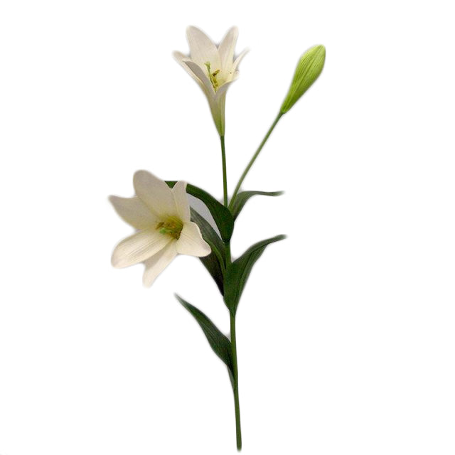 Flor