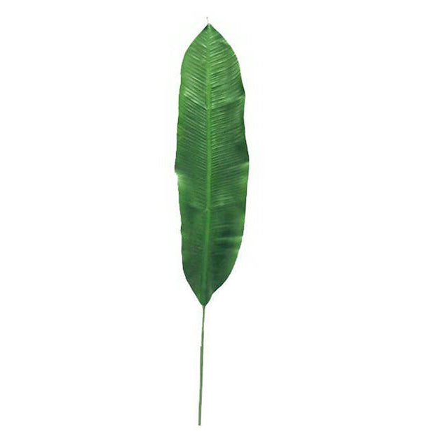 Hoja