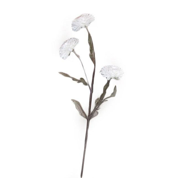 Flor
