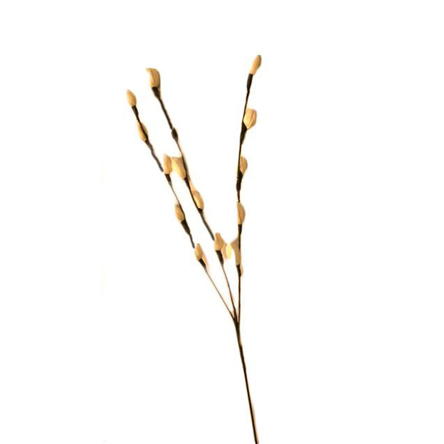 Flor