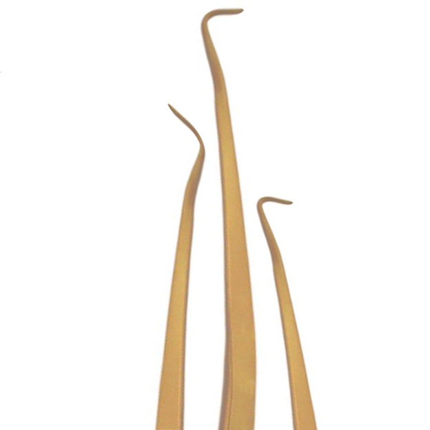 Hoja