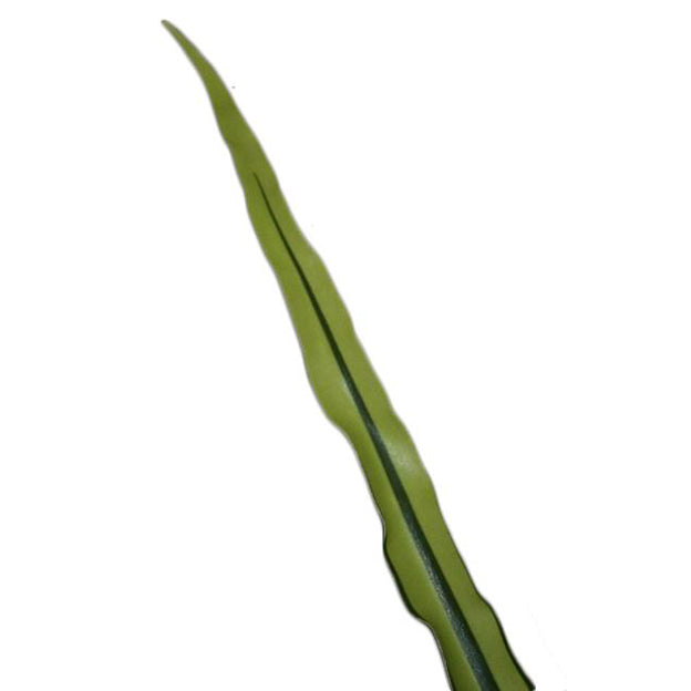 Hoja