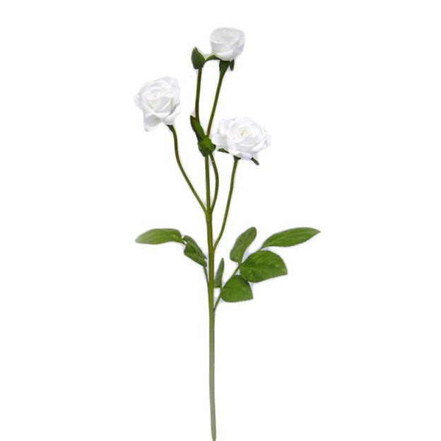 Flor