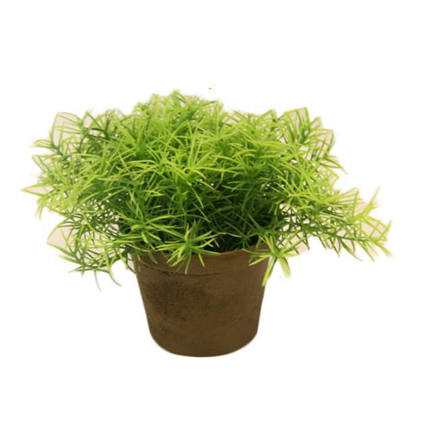 Planta
