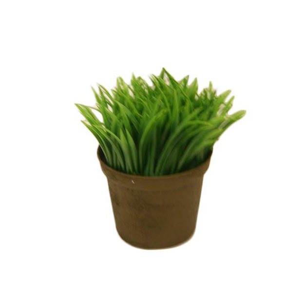 Planta