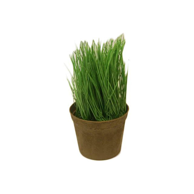Planta
