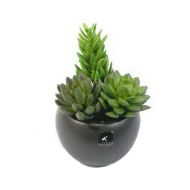 Planta