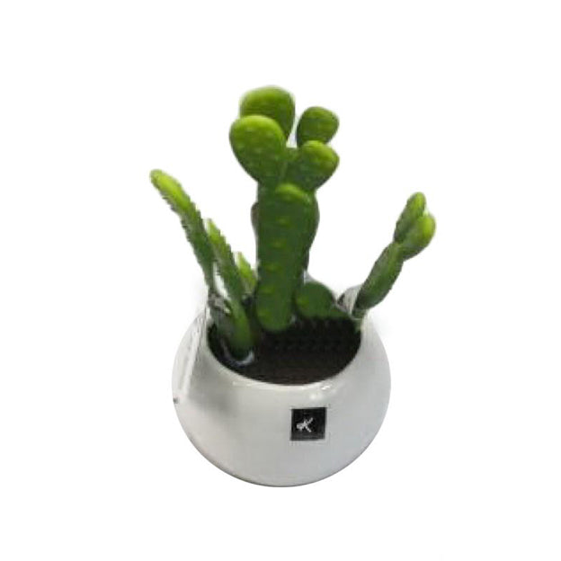 Planta