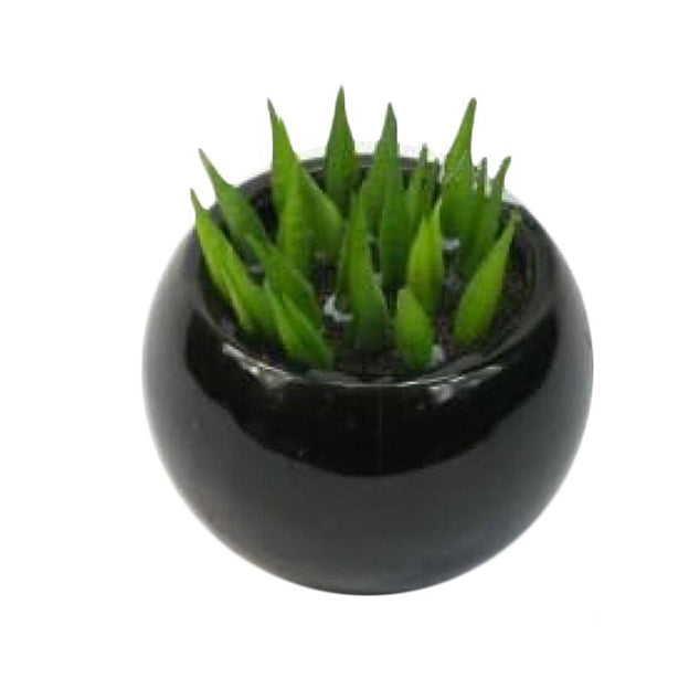 Planta