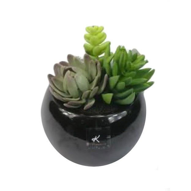 Planta