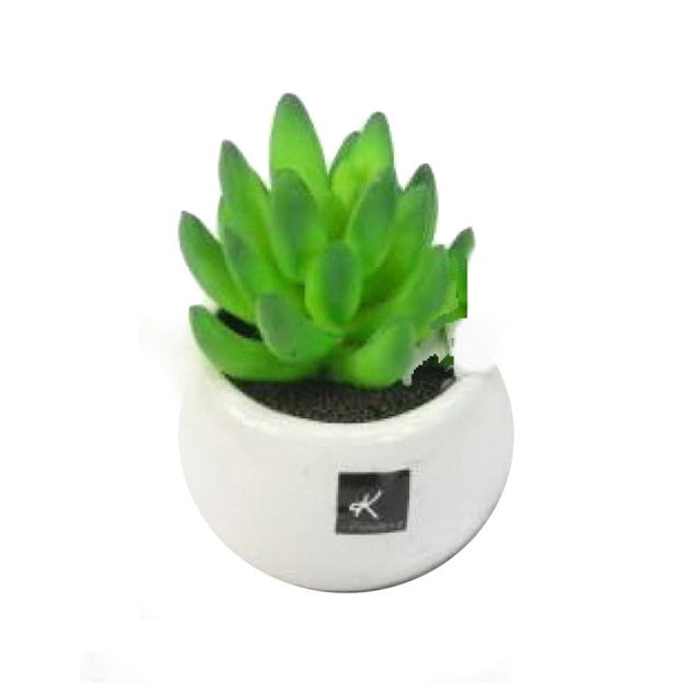 Planta