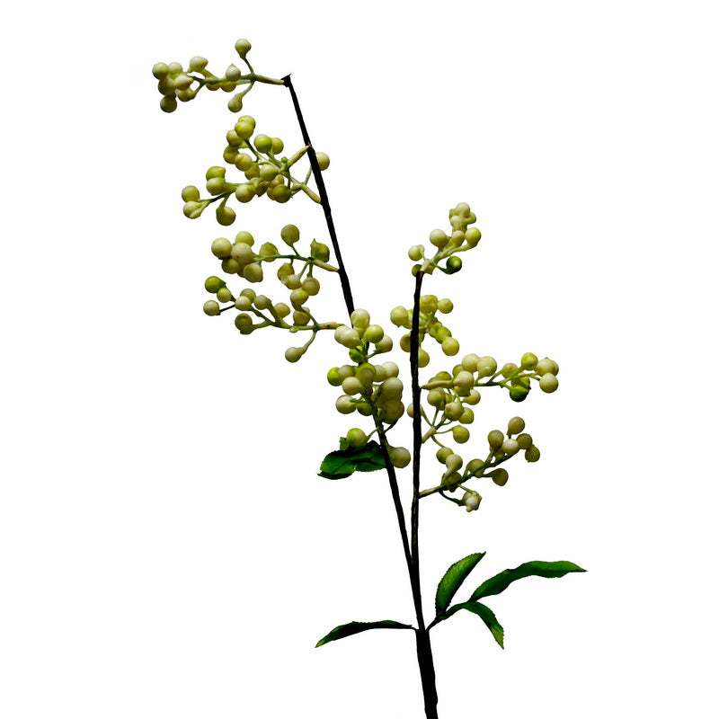 Flor