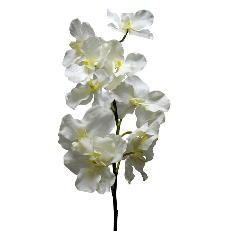 Flor