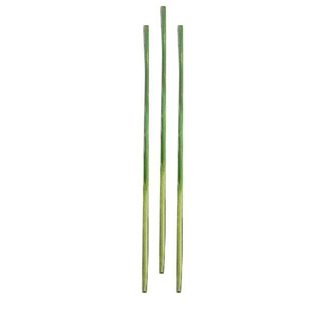 Hoja