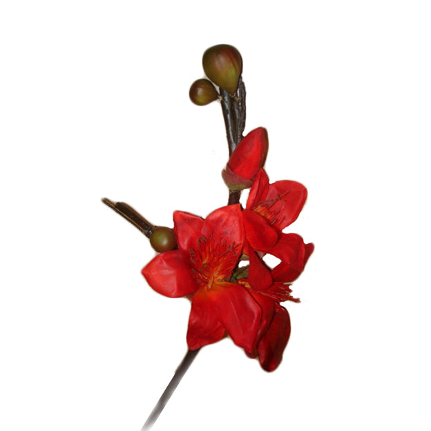 Flor