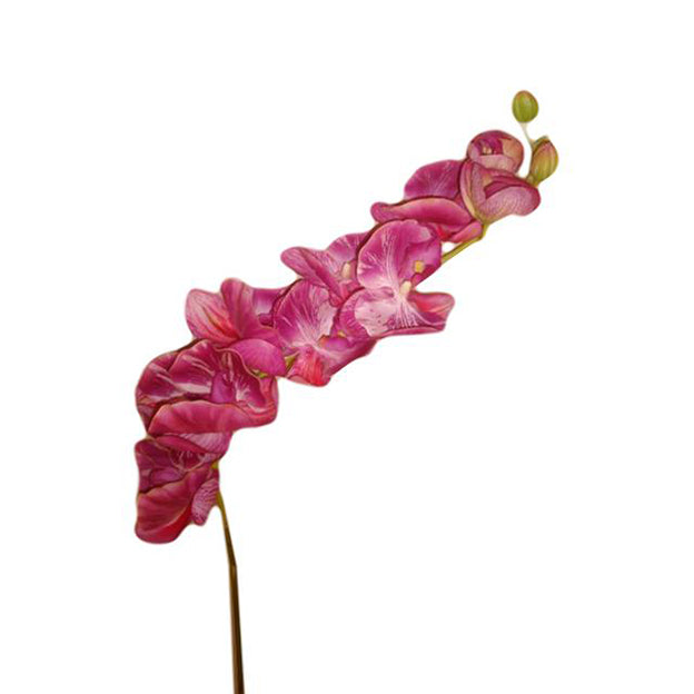 Flor