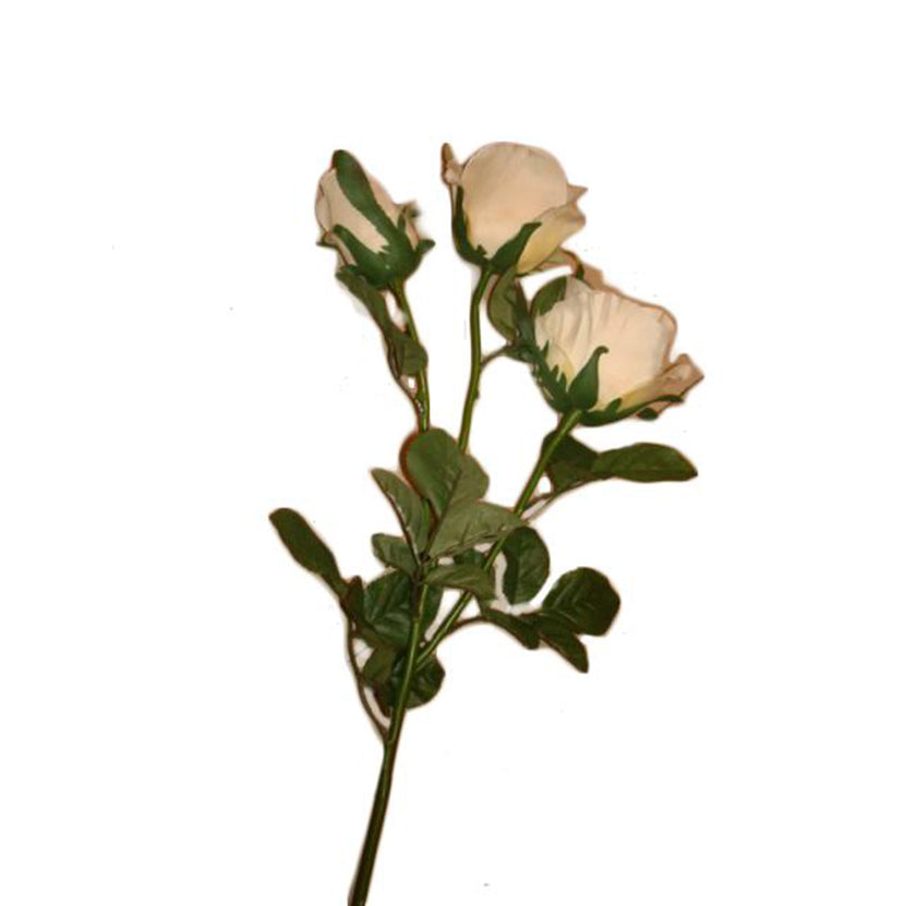 Flor