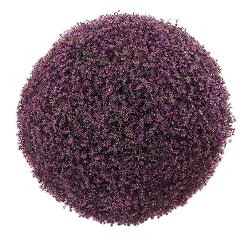 Pelota
