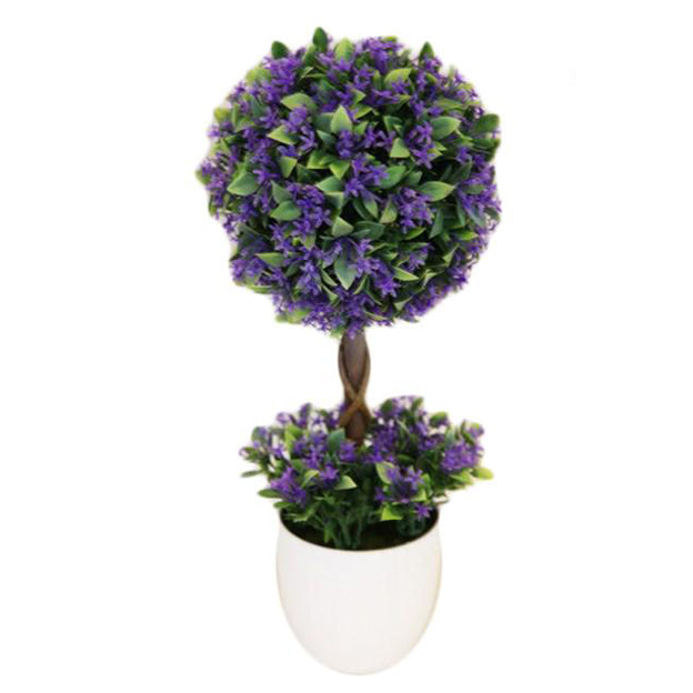 Planta