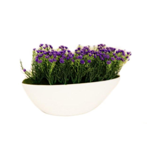 Planta