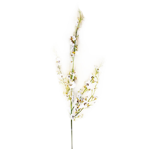 Flor