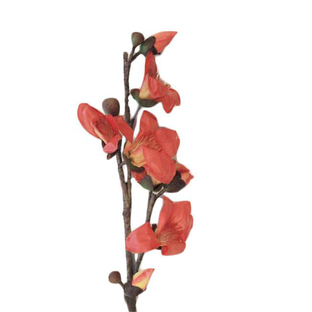 Flor