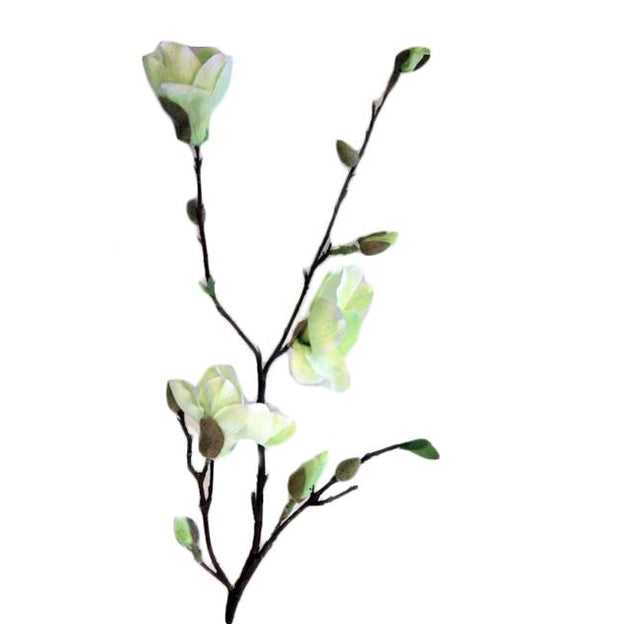 Flor