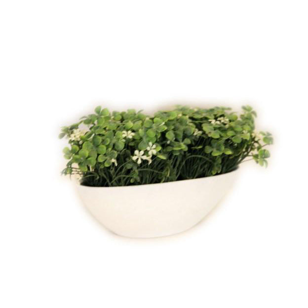 Planta