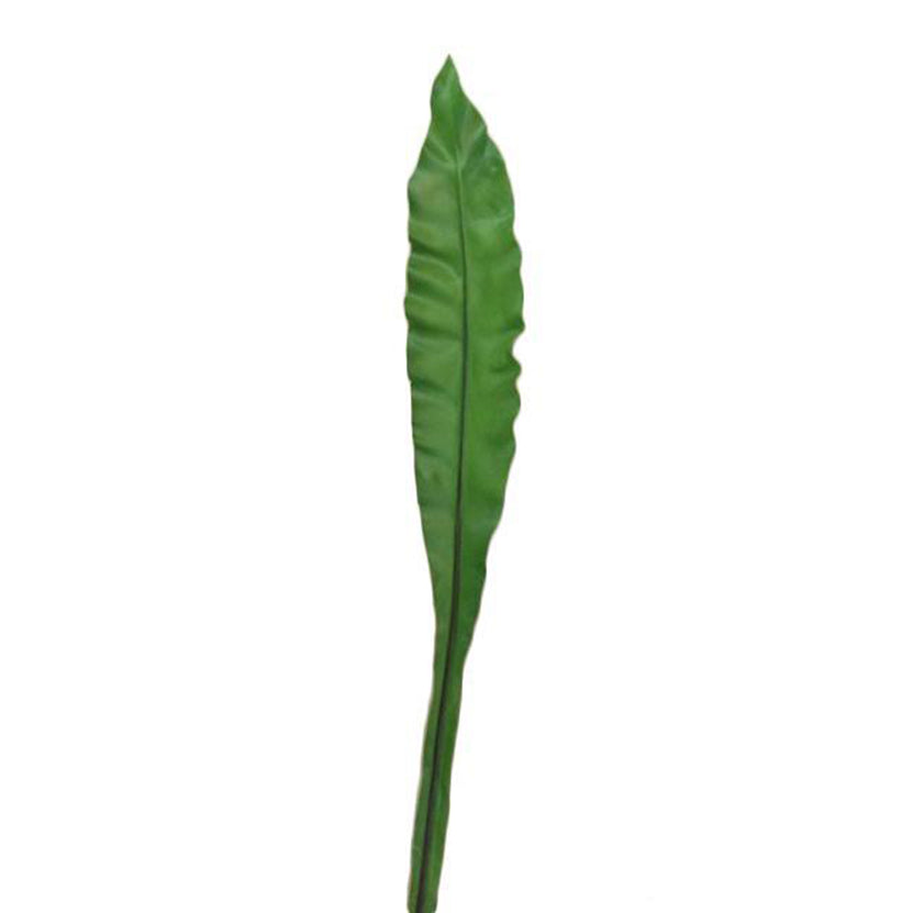 Hoja