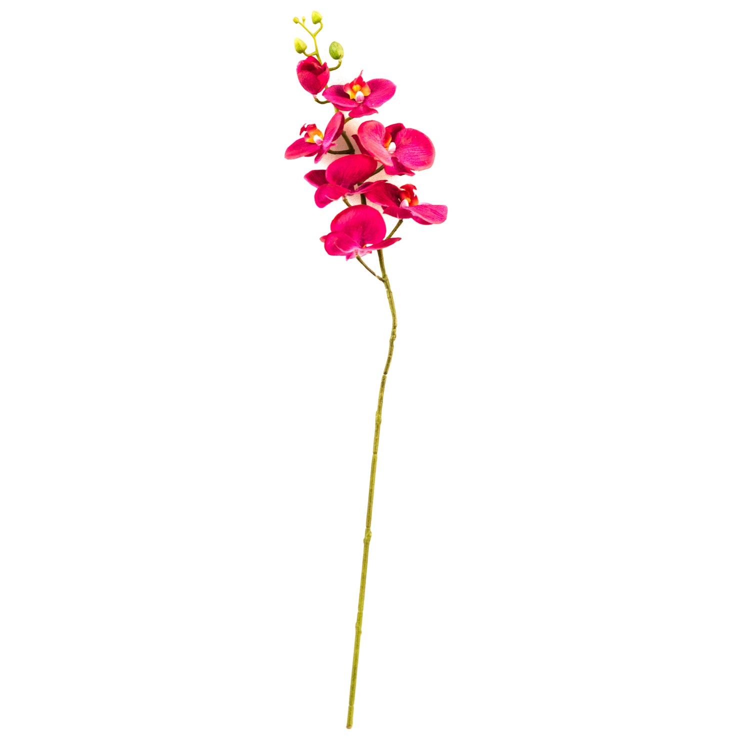 Flor