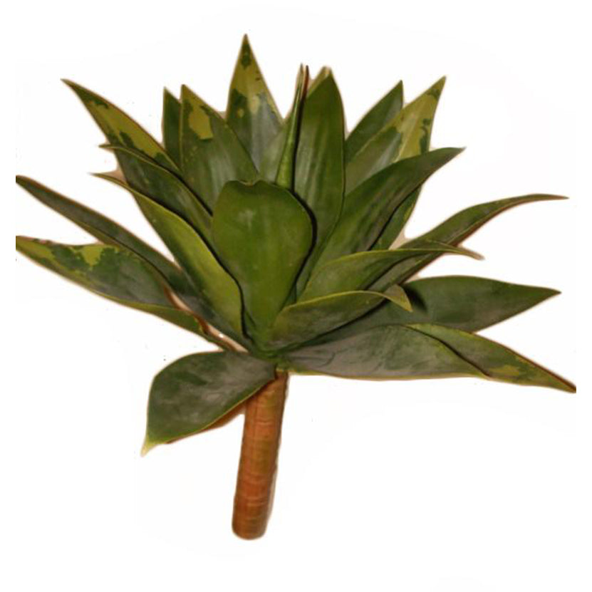 Rama