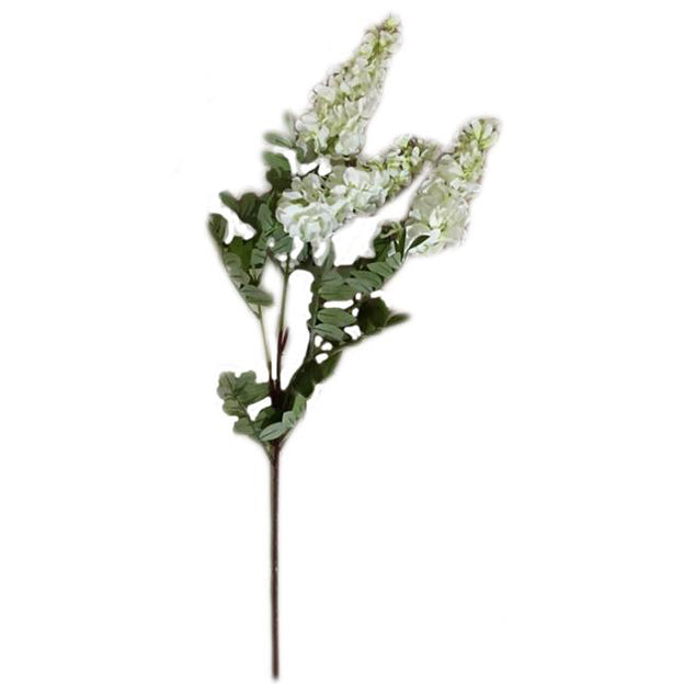 Flor