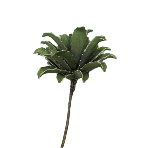 Rama