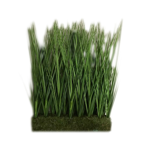 Oasis con pastos