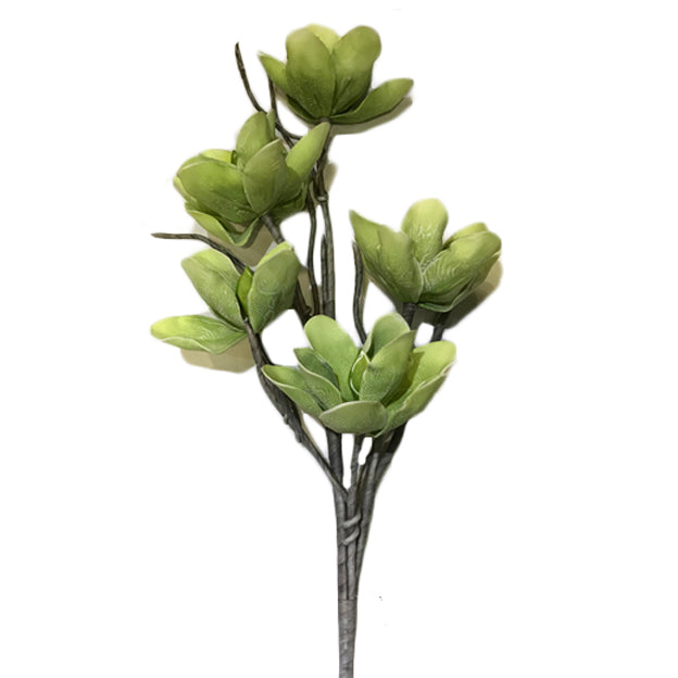Flor