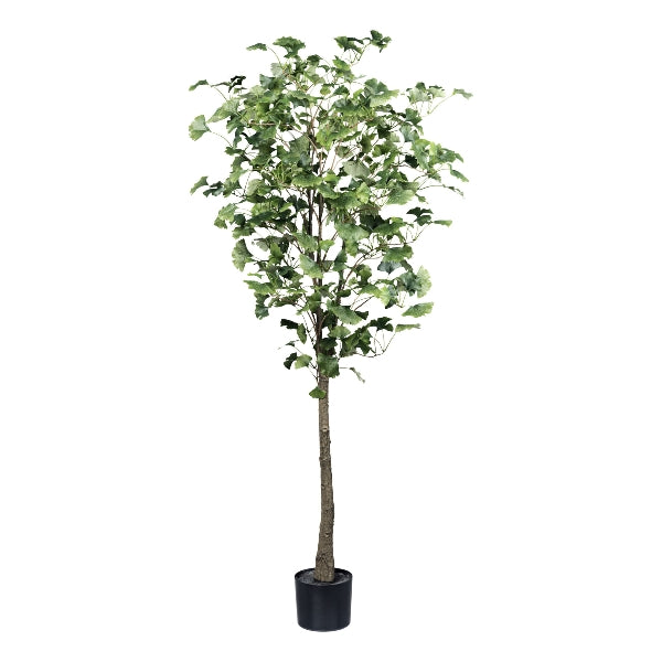 Arbol