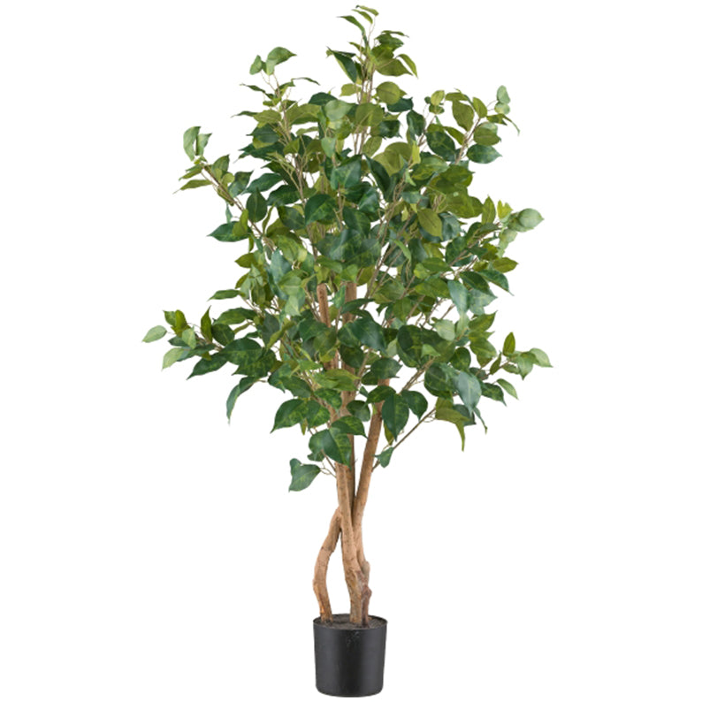 Arbol
