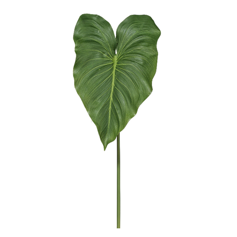 Hoja