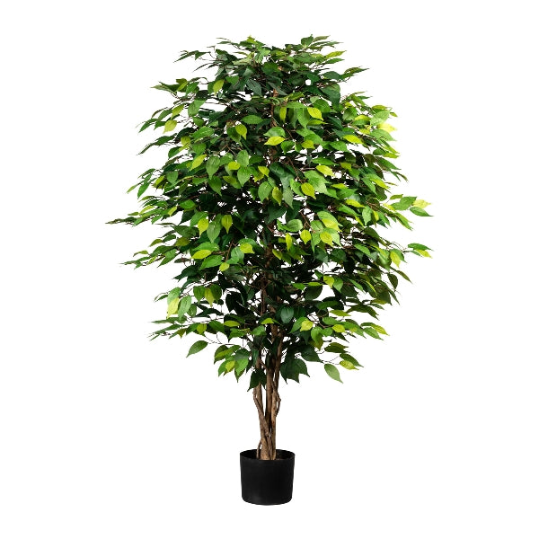 Arbol