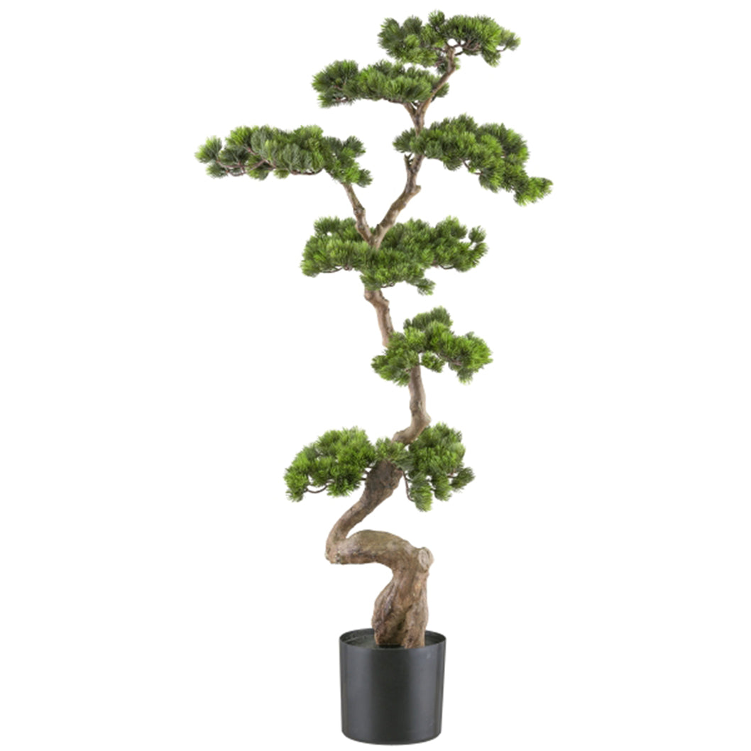 Arbol